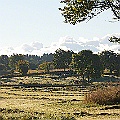 Hösten