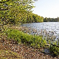 Häckebergasjön i maj