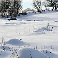 Vinterlandskap på Österlen